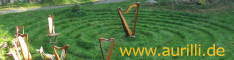 banner aurilli
