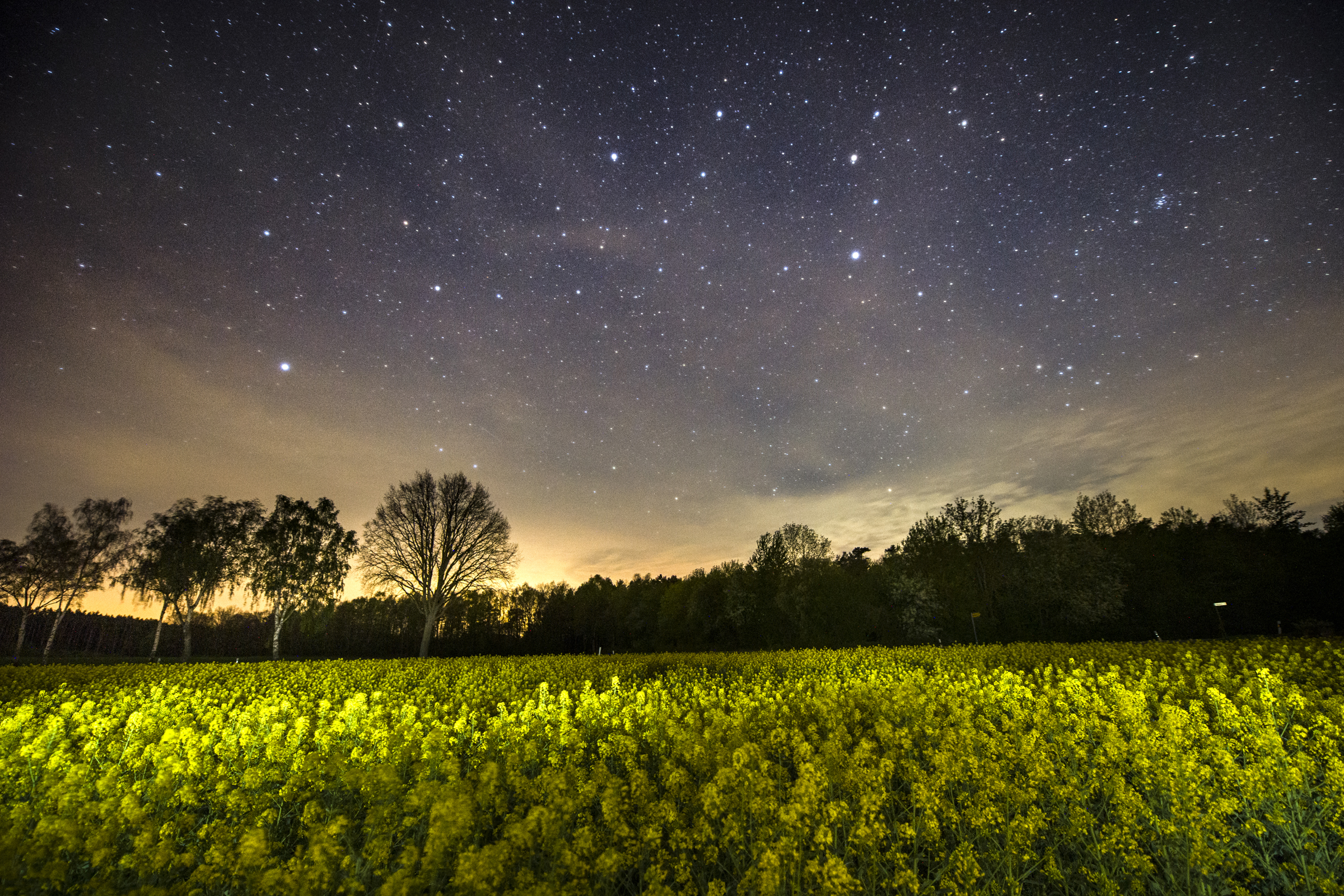 Sternenf&uuml;hrung mit Helmut Schnieder